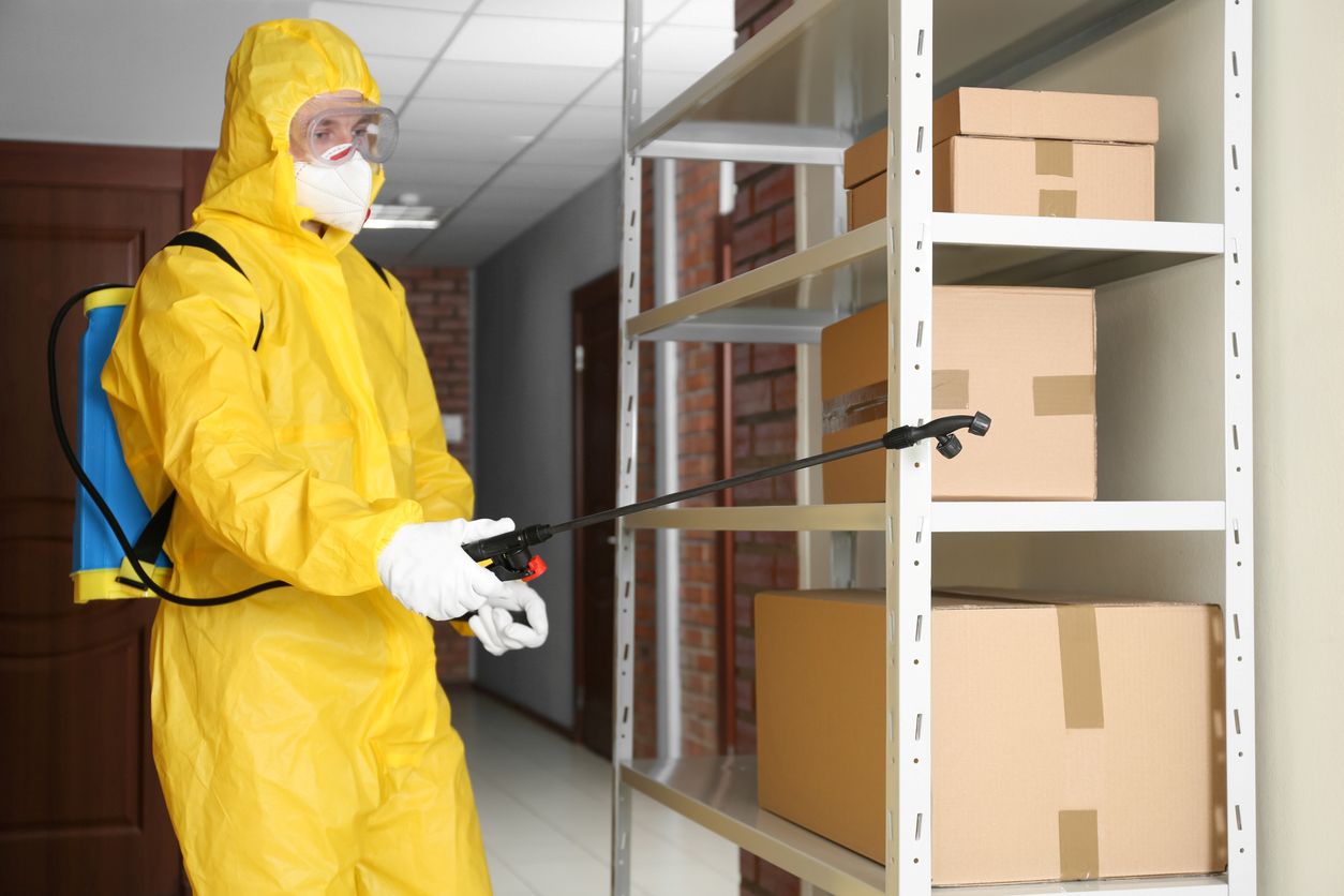 Pest control worker spraying pesticide on rack indoors