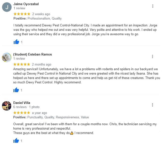 Pest Control Services and Termite Control in National City, CA Dewey