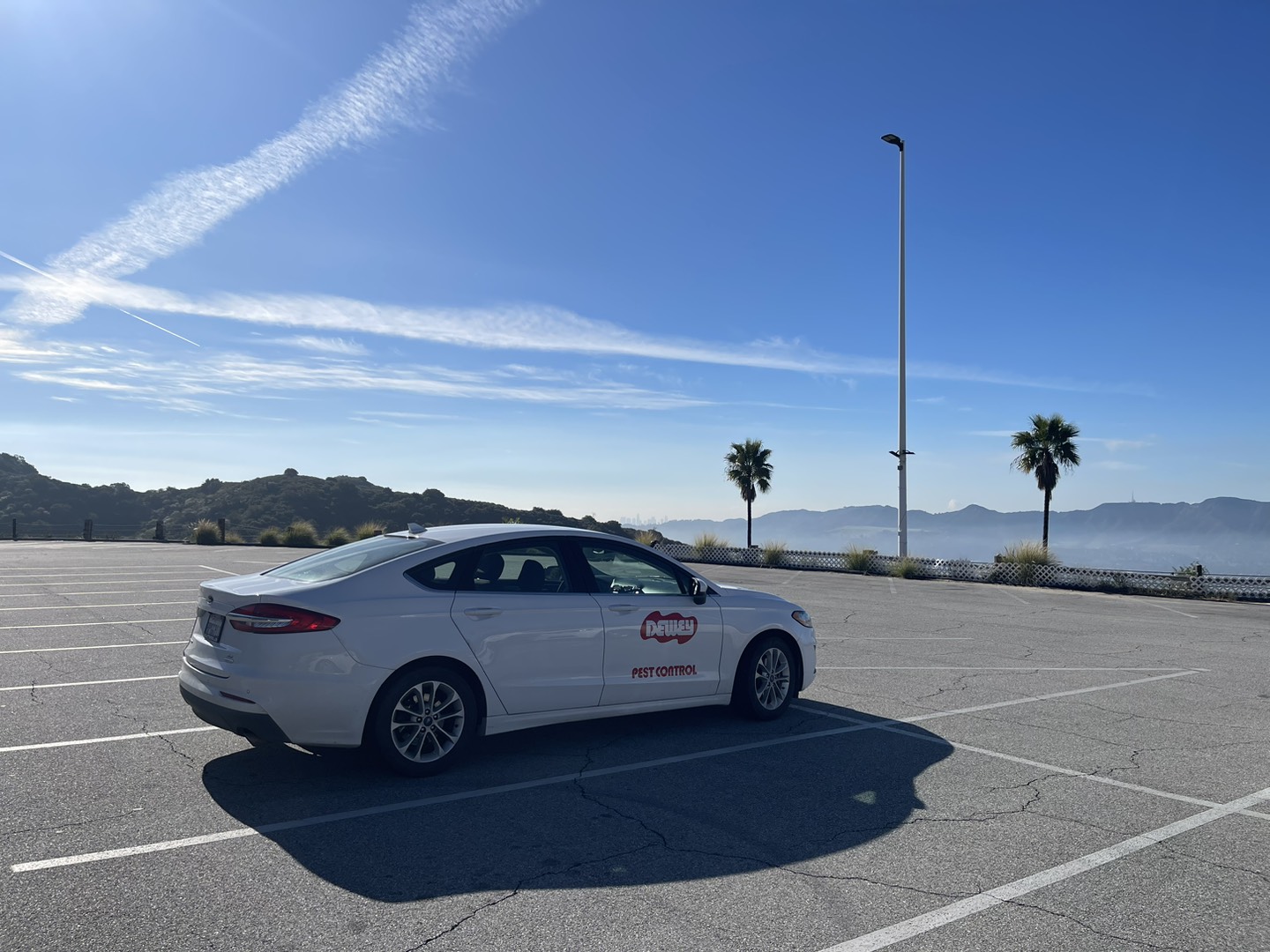 Dewey Pest and Termite Ford Car Clouds