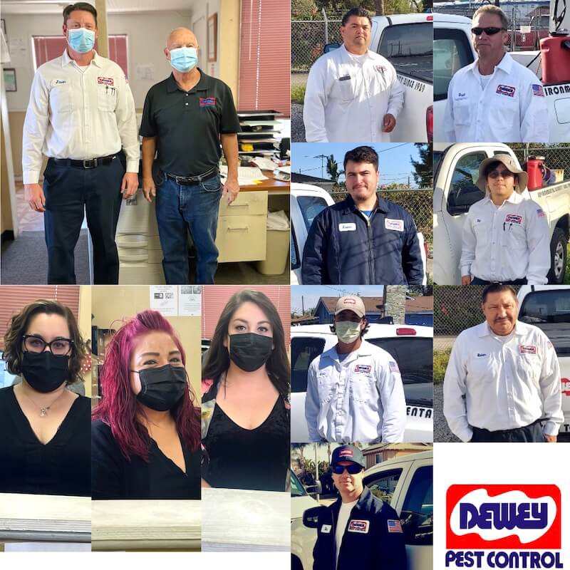 Multiple compiled photos of employees wearing face masks.