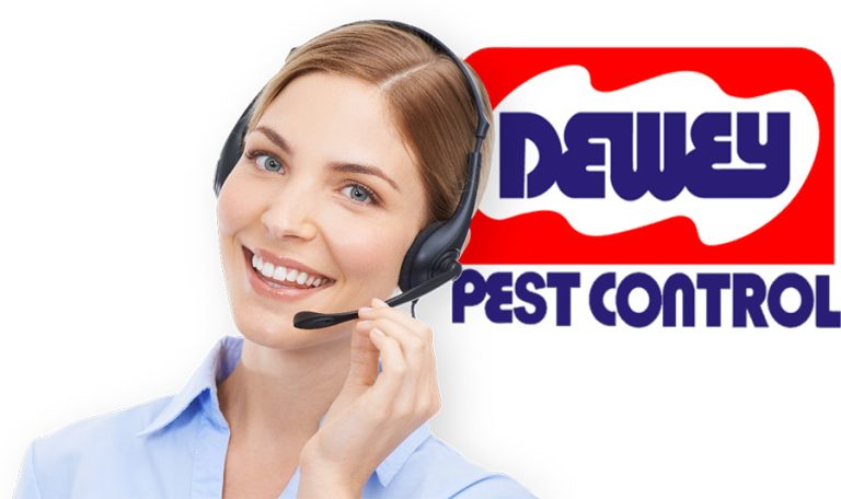 Dewey Pest Control Hesperia Ca