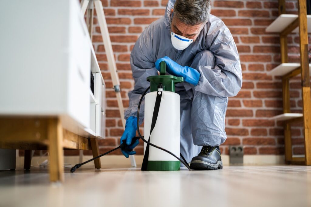 A pest control specialist applies a targeted treatment below a couch.
