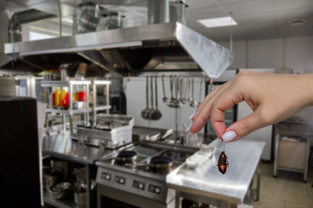 A hand holds a dead cockroach in front of a restaurant kitchen.