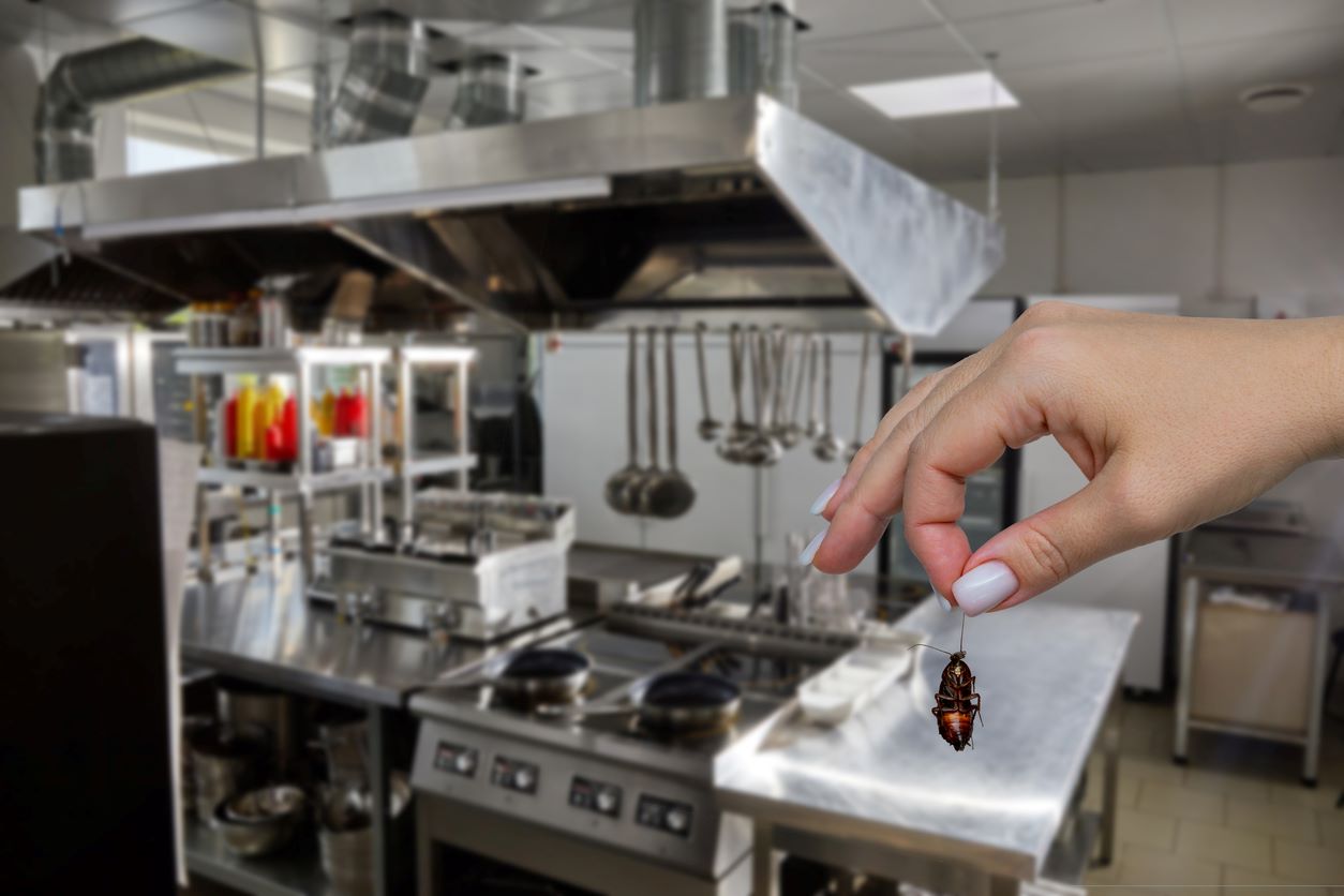A hand holds a dead cockroach in front of a restaurant kitchen.