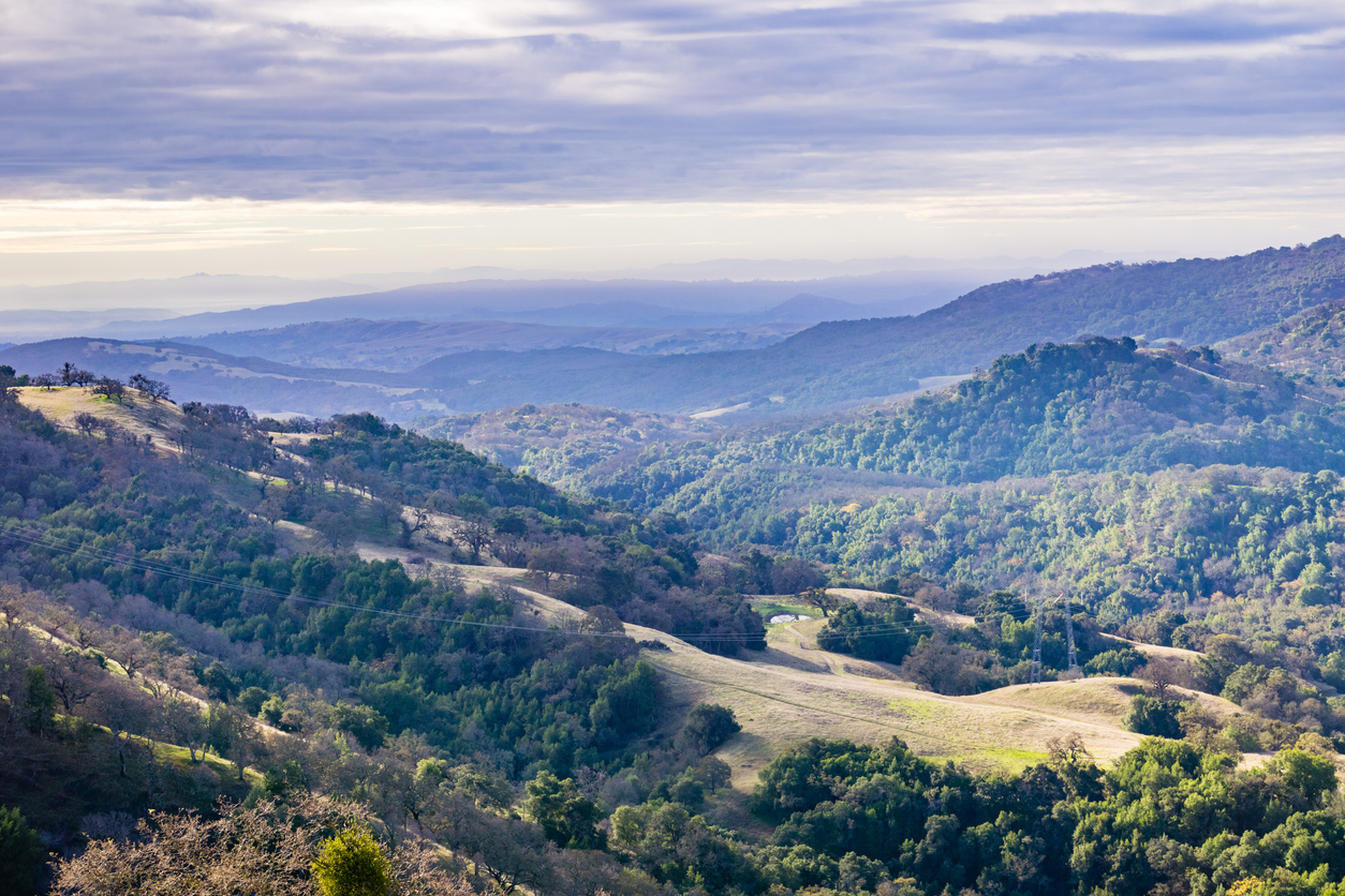 Aerial shot of green hills.