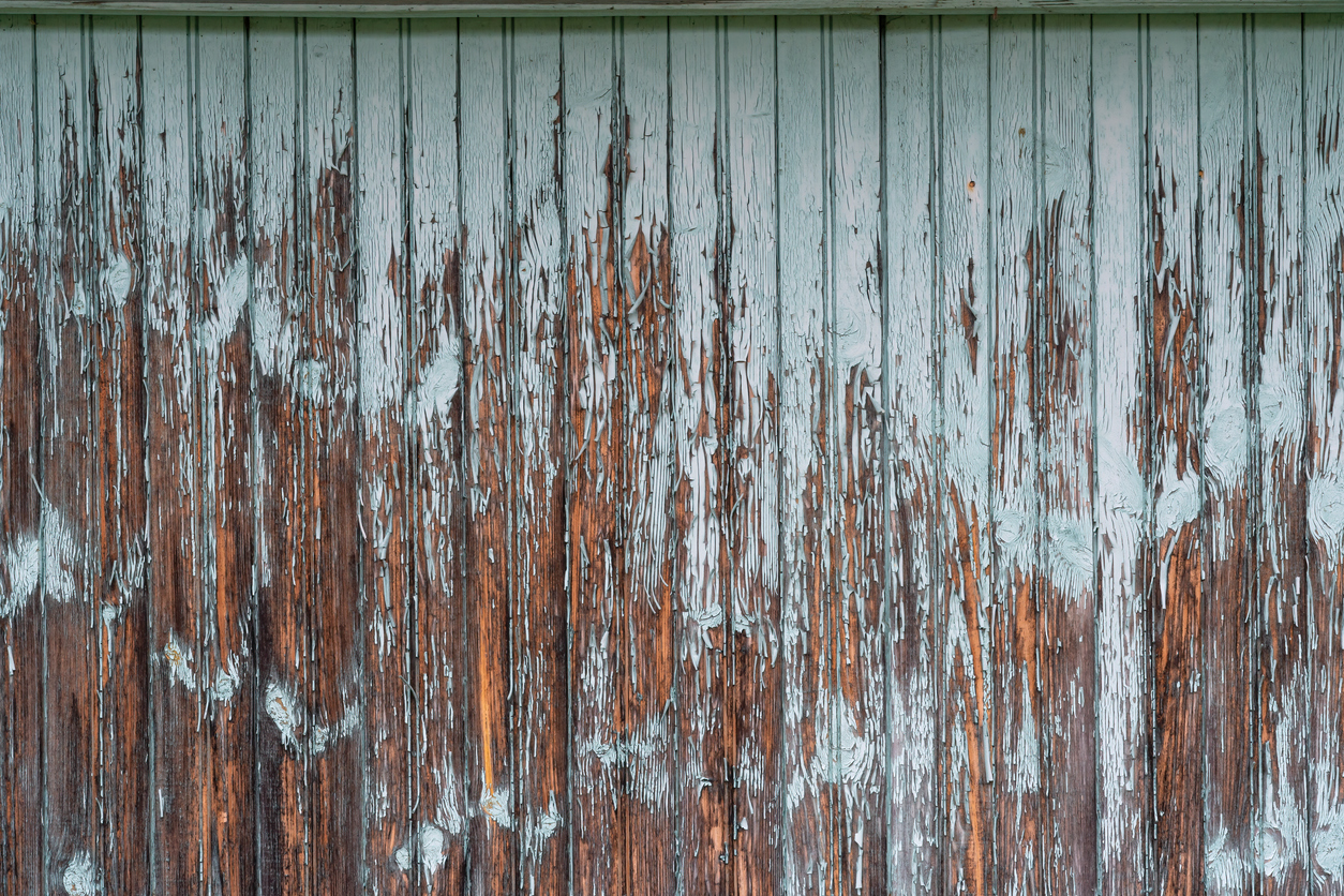 Fragment of the wall of an old wooden house with blue paint comes off in long streaks from wet boards.